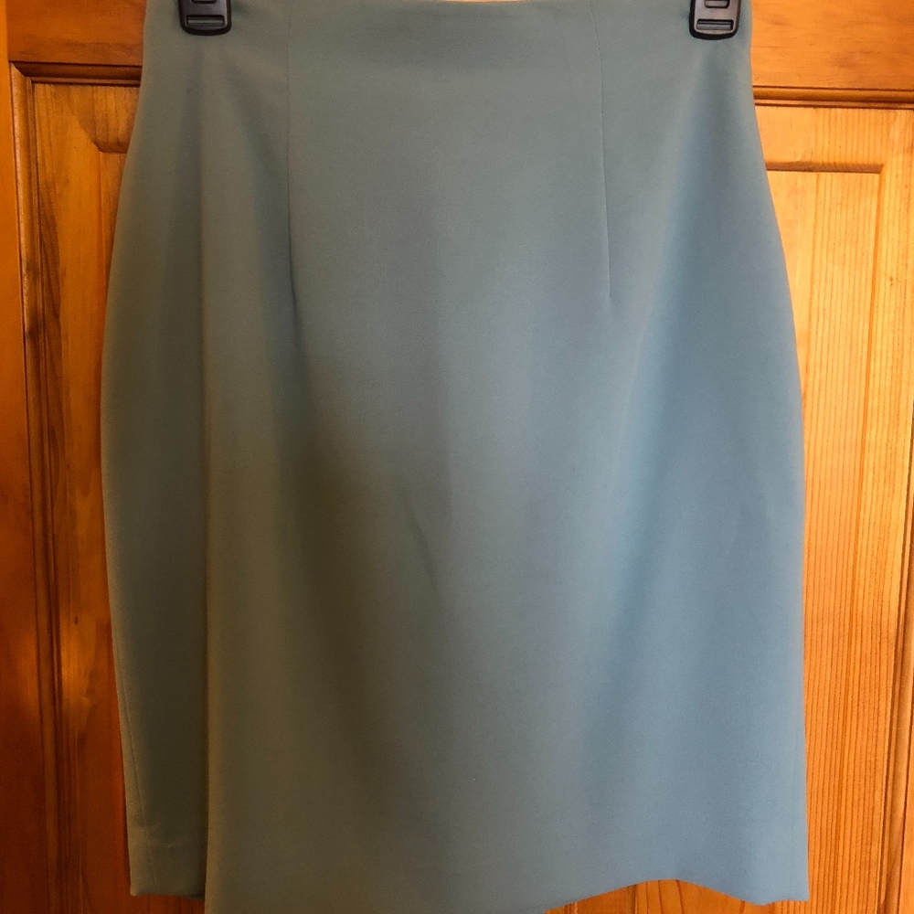 Valerie Stevens teal skirt
